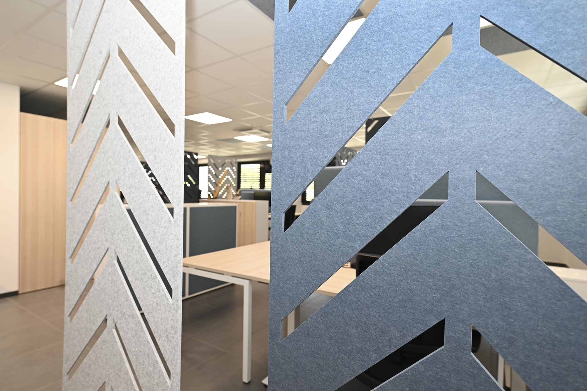 DSC_0551-min DSC_0551-min